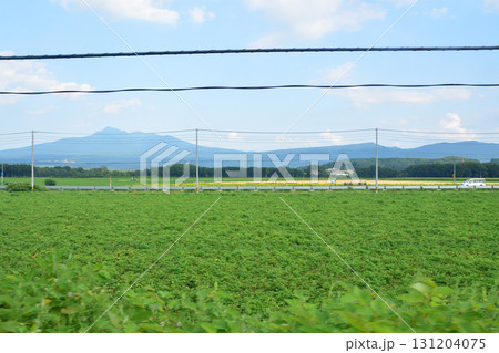 JR北海道、釧網本線川湯温泉駅、清里町駅間の風景(2023年夏) 131204075