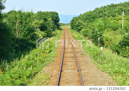 JR北海道釧網本線清里町駅、止別駅間の風景(2023年夏) JR北海道釧網本線清里町駅、止別駅間の風景(2023年夏) 131204262