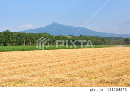 JR北海道釧網本線清里町駅、止別駅間の風景(2023年夏) 131204278
