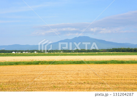 JR北海道釧網本線清里町駅、止別駅間の風景(2023年夏) 131204287