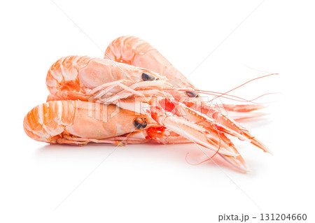 Scampi langoustine isolated on white background. Scampi langoustine isolated on white background. 131204660