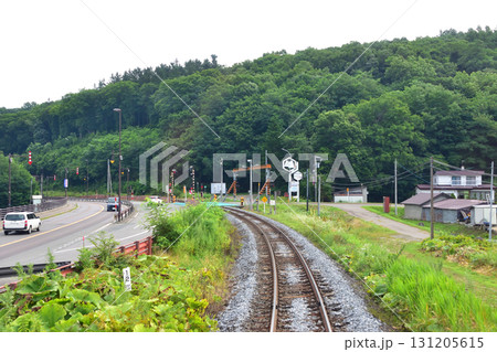 JR北海道石北本線網走駅、女満別駅間の風景(2023年夏) 131205615