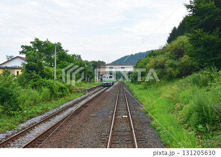 JR北海道石北本線網走駅、女満別駅間の風景(2023年夏) JR北海道石北本線網走駅、女満別駅間の風景(2023年夏) 131205630