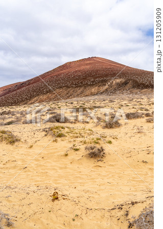 Dramatic landscape view of La Graciosa island, showcasing the terrain with a volcanic hill. The foreground features arid sand and low-lying vegetation under a cloudy sky. 131205909