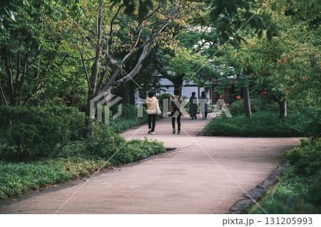 [姫路城西御屋敷跡庭園 好古園]日本庭園を散歩する人々 131205993