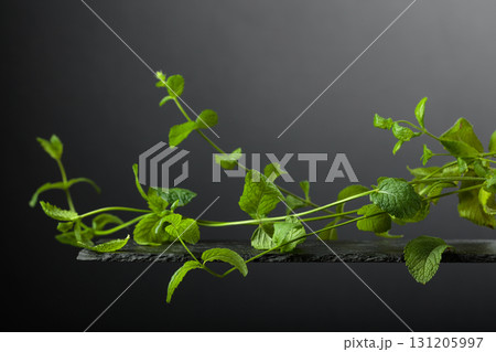 Sprigs of mint on a black background. 131205997