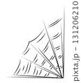 Spider web as a symbol of Halloween. Black hand drawn illustration. 131206210