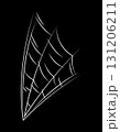 Spider web for Halloween. White hand drawn illustration. 131206211