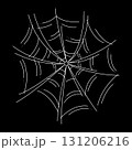 The web as a symbol of Halloween. White hand drawn illustration. 131206216