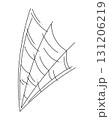Doodle web as a symbol of Halloween. Black hand drawn illustration. 131206219