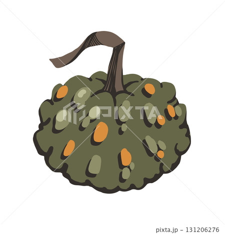 Spotted green pumpkin vector illustration. Autumn seasonal vegetable for Halloween and Thanksgiving decoration. Flat illustration 131206276