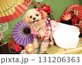 年賀状素材：着物姿のチワプー 131206363