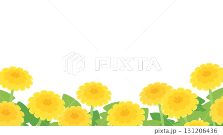 かわいいタンポポの花畑の背景イラスト_16:9 131206436