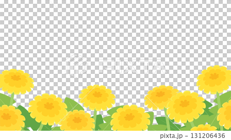 かわいいタンポポの花畑の背景イラスト_16:9 131206436