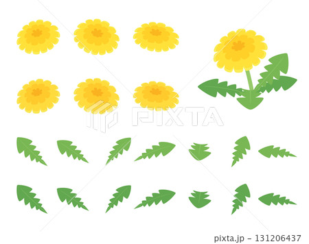 かわいいタンポポの花と葉っぱのイラスト素材セット 131206437