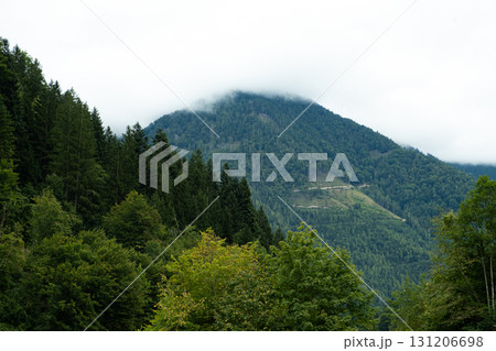 Magnificent Green Alpine Landscape with Misty Mountains in the Clouds Magnificent Green Alpine Landscape with Misty Mountains in the Clouds 131206698