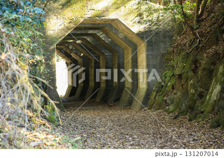 熊本県美里町　八角トンネル 131207014