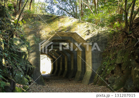 熊本県美里町　八角トンネル 131207015