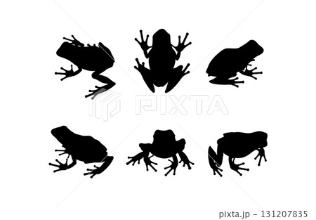 Set of black vector frog silhouettes isolated on white background. Collection of poisonous amphibians with slender long legs in various poses, shown in front, back, side, and top views Set of black vector frog silhouettes isolated on white background. Collection of poisonous amphibians with slender long legs in various poses, shown in front, back, side, and top views 131207835
