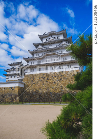 [姫路城]世界遺産の美しい姿 131208466