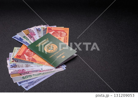 Nigerian International Citizen Passport for global business 131209053