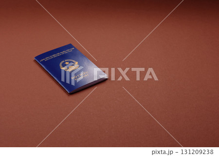 Vietnam passport for travelling, flying and doing business. Vietnamese document Vietnam passport for travelling, flying and doing business. Vietnamese document 131209238