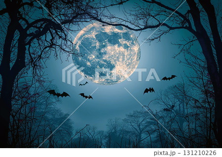 ハロウィンの夜と満月 森のシルエット背景イラスト 131210226