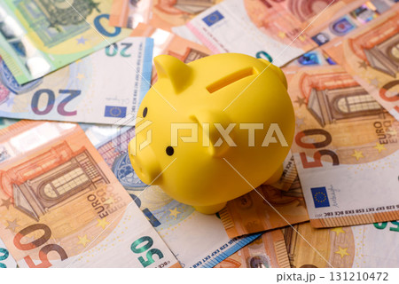 Paper money, euro notes, cash for savings and investments. Euro paper cash Paper money, euro notes, cash for savings and investments. Euro paper cash 131210472