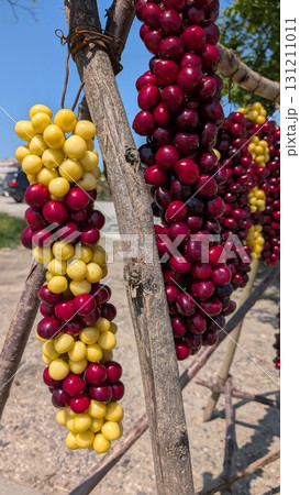 Colorful Grapes Hanging Gracefully on a Rustic Wooden Frame, Showcasing Their Beauty 131211011