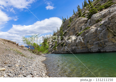 Scenic lake with clear green waters and the mountain with trees. Scenic lake with clear green waters and the mountain with trees. 131211150