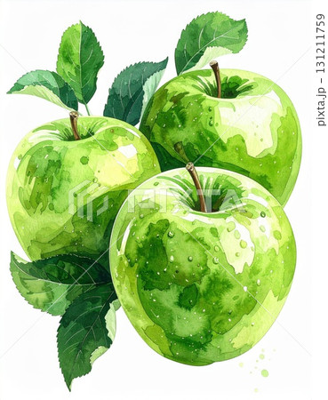 Three Green Apples with Leaves Watercolor Painting Isolated on White Background 131211759