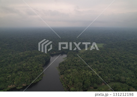 Lush green rainforest landscape beside a winding river during cloudy day Lush green rainforest landscape beside a winding river during cloudy day 131212198