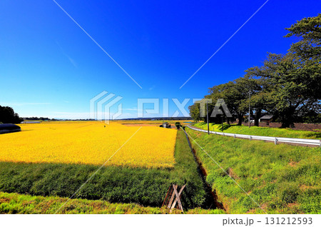 青空が広がる田舎の風景 131212593