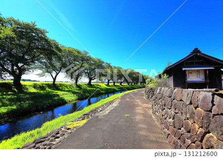 青空が広がる田舎の風景 131212600