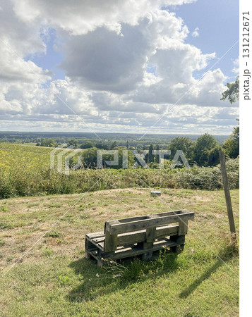 Scenic view from a palette bench in the Gironde countryside of France 131212671