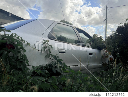 Abandoned car overgrown with brambles in a rural setting at midday Abandoned car overgrown with brambles in a rural setting at midday 131212762