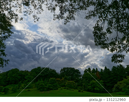 前線通過の空 愛知県森林公園 131212960
