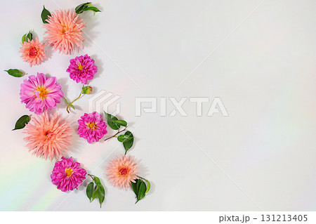 Abstract floral arrangement and autumn still life with seasonal flowers, Beautiful dahlia flowers on light background, backdrop and banner for screen, minimalist holiday concept, greeting card 131213405