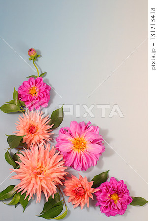 Beautiful dahlia flowers on a light background, abstract floral arrangement and autumn still life with seasonal flowers, background and banner for the screen, minimalist holiday concept, greeting card 131213418