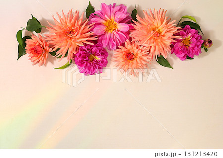 Beautiful dahlia flowers on a light background, abstract floral arrangement and autumn still life with seasonal flowers, background and banner for the screen, minimalist holiday concept, greeting card 131213420