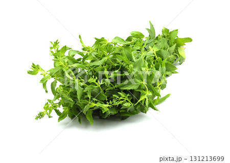 Fresh mint leaves isolated on white background Fresh mint leaves isolated on white background 131213699