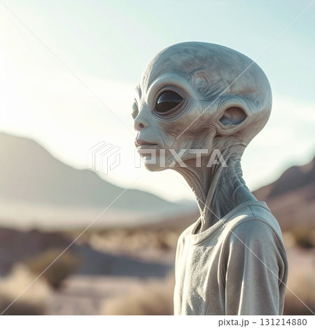 遠くを見つめる宇宙人 イラスト 遠くを見つめる宇宙人 イラスト 131214880