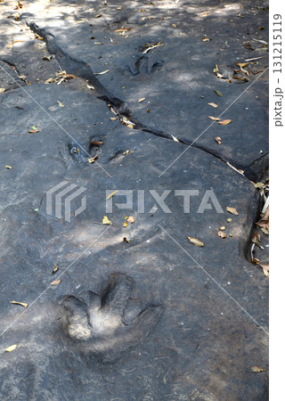 Top view of dinosaur footprints Three-toed predatory species Carved in black natural stone. 131215119