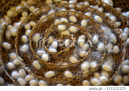 Round bamboo basket for raising silkworm larvae, divided into spiral compartments. It contains a white silk cocoon. Round bamboo basket for raising silkworm larvae, divided into spiral compartments. It contains a white silk cocoon. 131215125