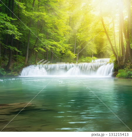 美しい自然の森と川 131215413
