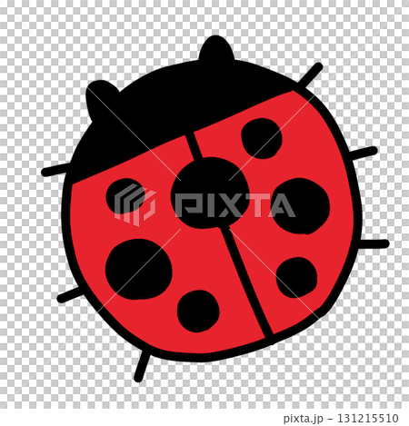 手描き線画の可愛いてんとう虫のイラスト 131215510
