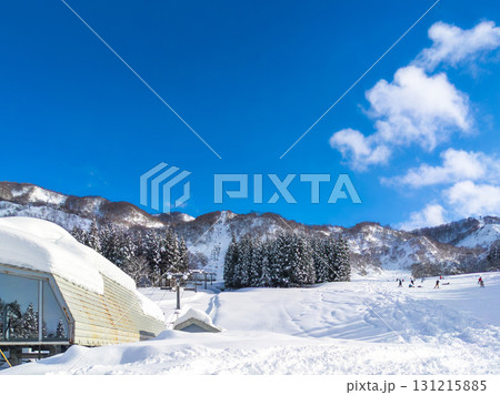 晴れたスキー場の斜面を登る長いリフトの列と人々が滑り降りてくるゲレンデ (新潟県、南魚沼市、舞子) 131215885