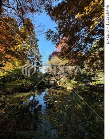 井の頭恩賜公園 紅葉 2024年 井の頭恩賜公園 紅葉 2024年 131216446