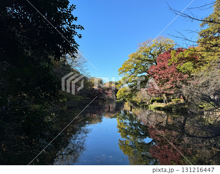 井の頭恩賜公園 紅葉 2024年 井の頭恩賜公園 紅葉 2024年 131216447