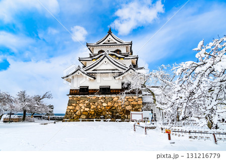 滋賀 彦根城 雪化粧した天守 滋賀 彦根城 雪化粧した天守 131216779